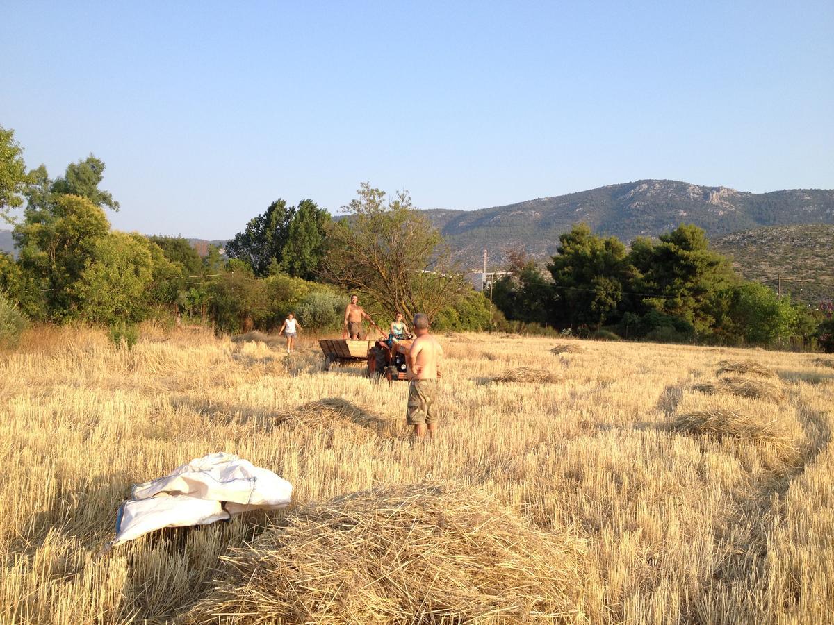 AsprokhorionRelax In 'Crazy Farm'别墅 外观 照片